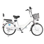 20 inch small tube upgraded dual battery electric bike brushless with gear motor