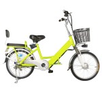 20 inch small tube upgraded dual battery electric bike brushless with gear motor