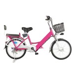 20 inch small tube upgraded dual battery electric bike brushless with gear motor