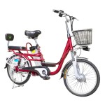 20 inch Yilan Princess Spoke Wheel 350W Brushless Gear Motor Lithium Battery Electric Bicycle