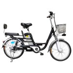 20 inch Yilan Princess Spoke Wheel 350W Brushless Gear Motor Lithium Battery Electric Bicycle