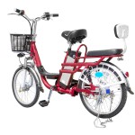 20 inch Yilan Princess Spoke Wheel 350W Brushless Gear Motor Lithium Battery Electric Bicycle