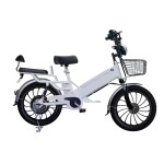 20 inch integrated wheel 350W brushless gearless motor lithium battery electric bike