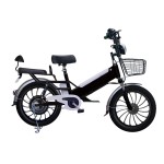 20 inch integrated wheel 350W brushless gearless motor lithium battery electric bike