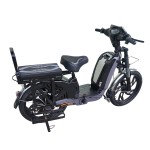 22 inch Bailing King split seat heavy-duty power type household electric bicycle 400W/800W motor