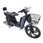 22 inch Bailing King split seat heavy-duty power type household electric bicycle 400W/800W motor