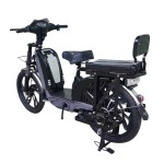 22 inch Bailing King split seat heavy-duty power type household electric bicycle 400W/800W motor