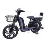 22 inch Bailing King split seat heavy-duty power type household electric bicycle 400W/800W motor