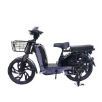 22 inch Bailing King split seat heavy-duty power type household electric bicycle 400W/800W motor