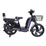22 inch Bailing King split seat heavy-duty power type household electric bicycle 400W/800W motor