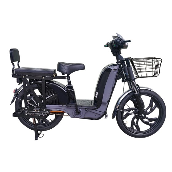 22 inch Bailing King split seat heavy-duty power type household electric bicycle 400W/800W motor