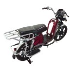 22 inch Bailing King new front and rear guardrail heavy-duty power family electric bicycle 400W/800W motor