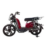 22 inch Bailing King new front and rear guardrail heavy-duty power family electric bicycle 400W/800W motor