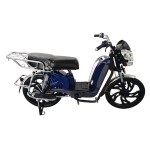 22 inch Bailing King new front and rear guardrail heavy-duty power family electric bicycle 400W/800W motor