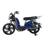 22 inch Bailing King new front and rear guardrail heavy-duty power family electric bicycle 400W/800W motor