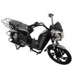 22 inch Bailing King new front and rear guardrail heavy-duty power family electric bicycle 400W/800W motor