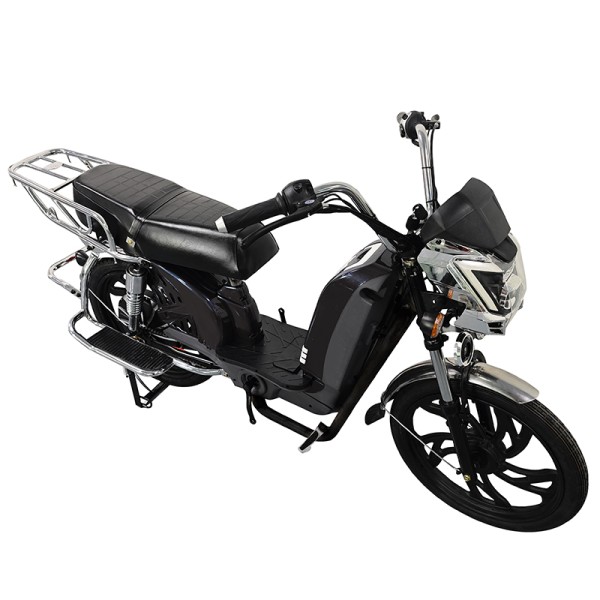 22 inch Bailing King new front and rear guardrail heavy-duty power family electric bicycle 400W/800W motor