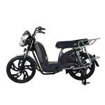 22 inch Bailing King new front and rear guardrail heavy-duty power family electric bicycle 400W/800W motor