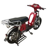 22 inch Bailing King Truck Power Family Electric Bicycle 400W/800W motor