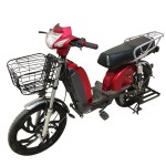 22 inch Bailing King Truck Power Family Electric Bicycle 400W/800W motor