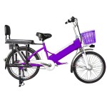 22 inch large shelf spoke wheel 350W brushless with gear motor lithium battery electric bike