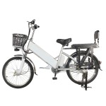 22 inch large shelf spoke wheel 350W brushless with gear motor lithium battery electric bike