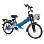 22 inch load capacity powerful fork spoke wheel lithium battery electric bike