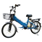 22 inch load capacity powerful fork spoke wheel lithium battery electric bike