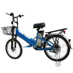 22 inch load capacity powerful fork spoke wheel lithium battery electric bike