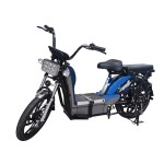 22 inch gold split seat, heavy-duty power type household electric bicycle, 400W/800W motor