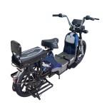 22 inch gold split seat, heavy-duty power type household electric bicycle, 400W/800W motor