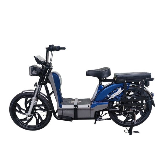 22 inch gold split seat, heavy-duty power type household electric bicycle, 400W/800W motor