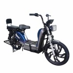 22 inch gold split seat, heavy-duty power type household electric bicycle, 400W/800W motor
