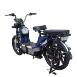 22 inch gold split seat, heavy-duty power type household electric bicycle, 400W/800W motor