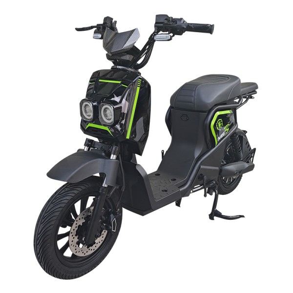 Warcraft 3 Large Seat Home Delivery Electric Bicycle 400W/800W Motor