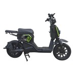 Warcraft 3 Large Seat Home Delivery Electric Bicycle 400W/800W Motor