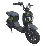 Warcraft 3 Large Seat Home Delivery Electric Bicycle 400W/800W Motor