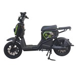 Warcraft 3 Large Seat Home Delivery Electric Bicycle 400W/800W Motor